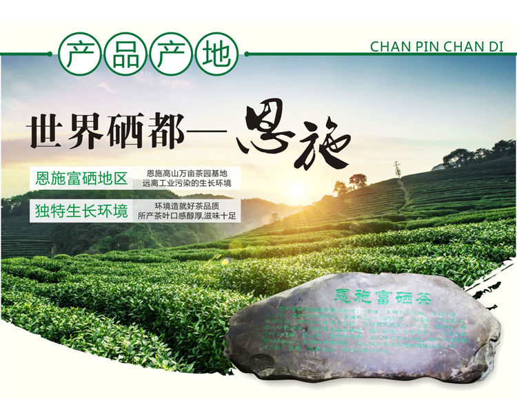 新茶多规格可选恩施富硒茶高山茶叶绿茶 明前毛尖茶【共】