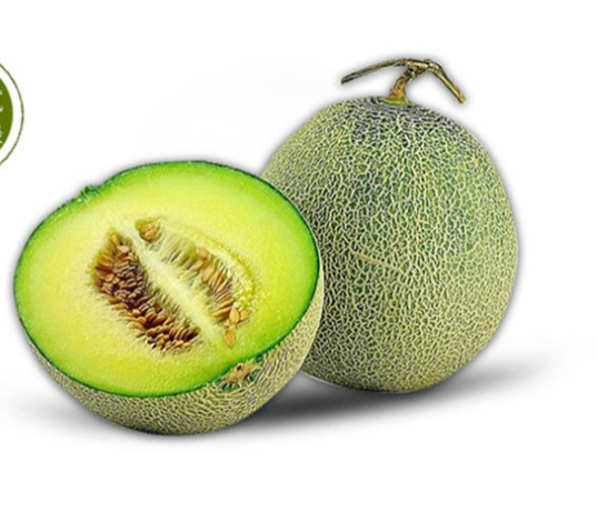 xj新季节醇蜜网纹瓜1个装香蜜甜瓜超甜多汁蜜瓜新鲜水果可开发票