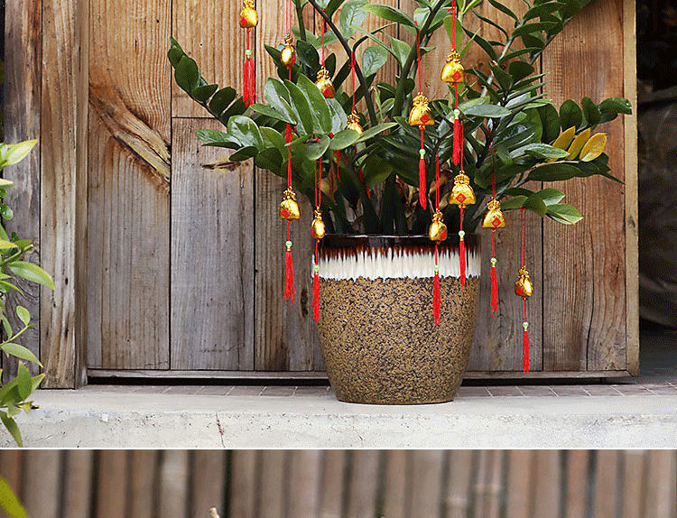 盆景装饰榕树绿植盆栽发财树挂件室内家用灯笼挂饰品招财福袋6个装