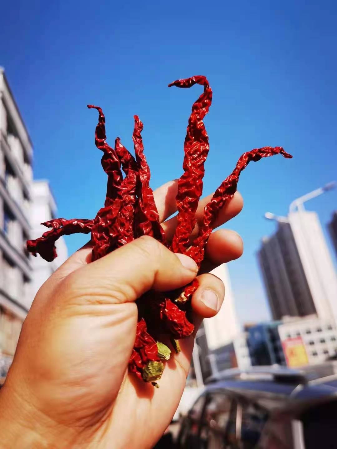 安集海干辣椒辣皮子新疆特产辣皮子500g袋安集海沙湾大盘鸡配料佐料辣