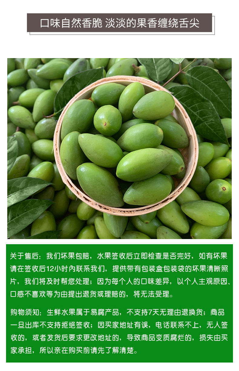 湛航 正宗潮汕现摘新鲜二号香甜青橄榄生吃酥脆檀香甜种橄榄孕妇水果