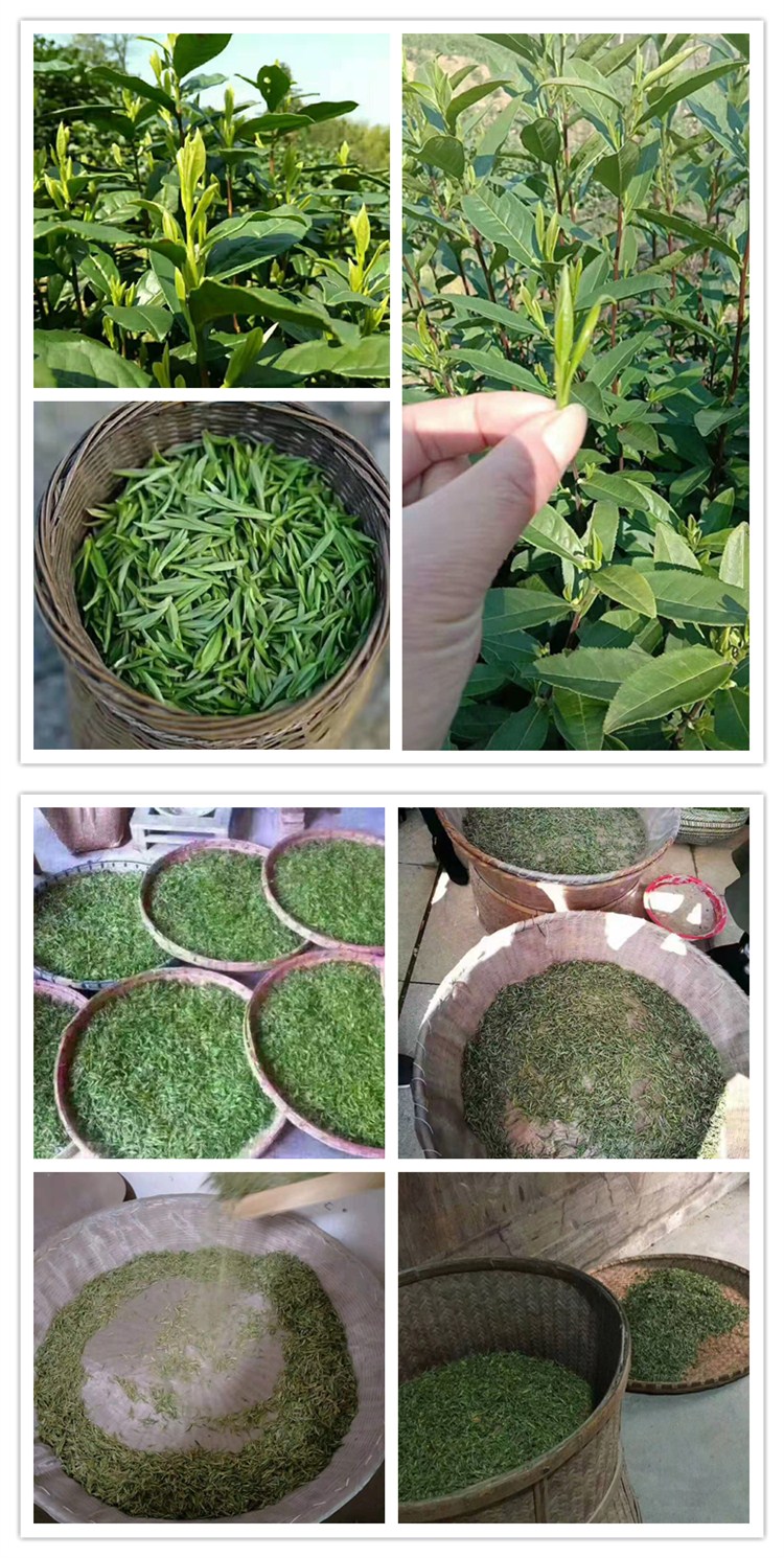 皖江香茗绿茶 皖江香茗尊品汀溪兰香lx01兰香500克【价格 图片 品牌