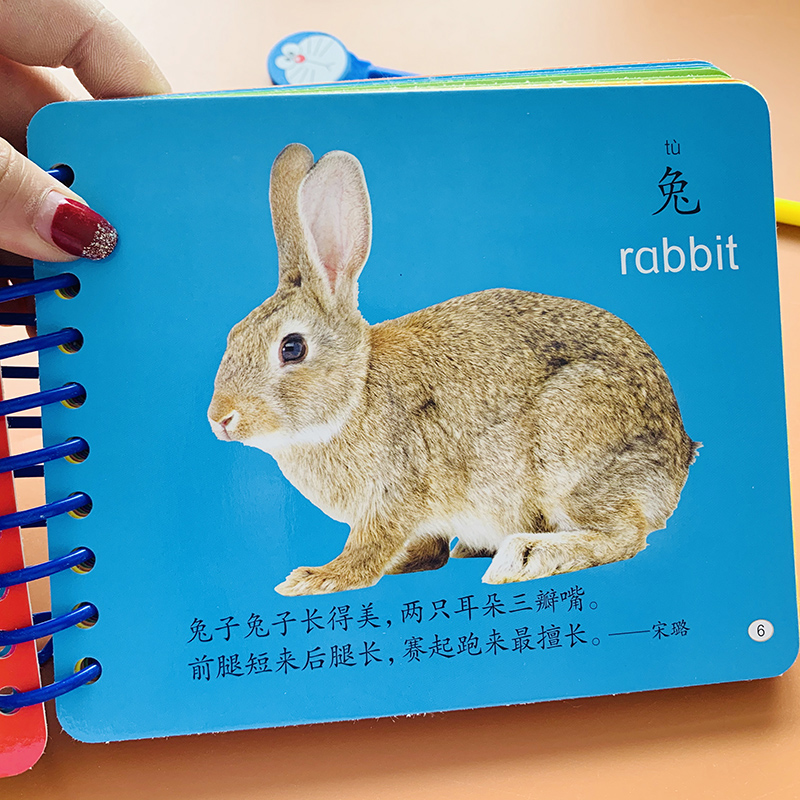 《【诺森正版】2本早教动物卡片加厚覆膜宝宝撕不烂认动物图片可扫码