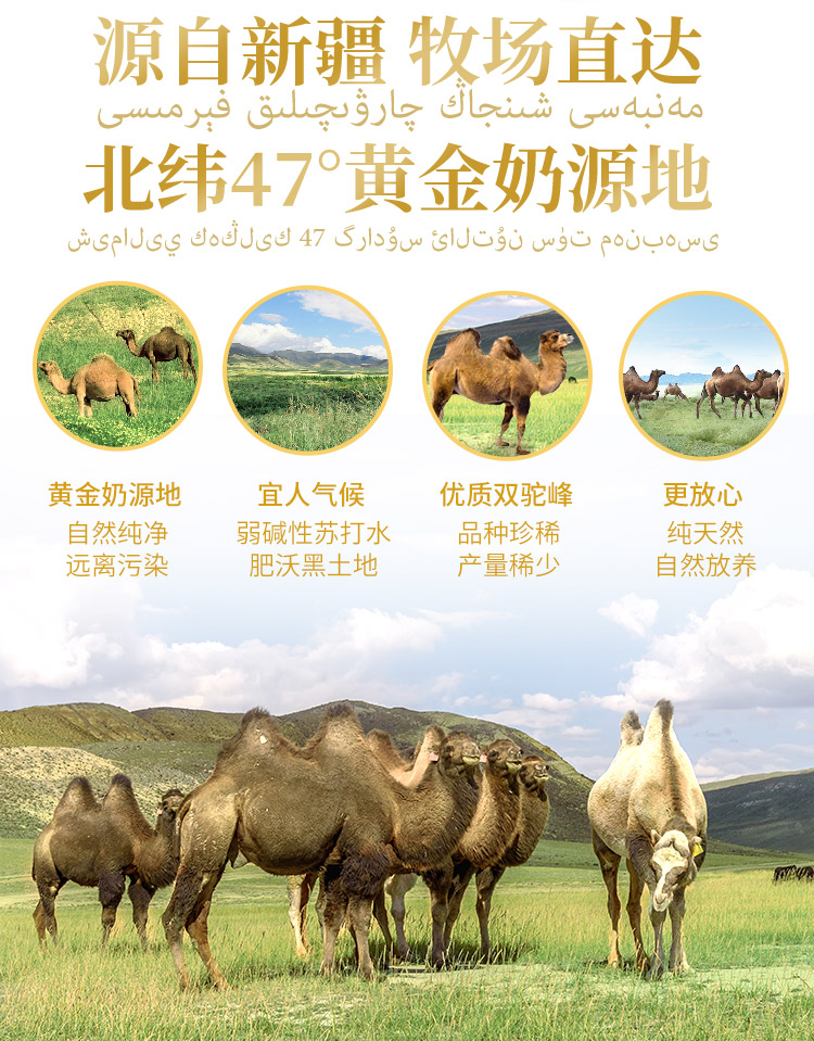 拍12盒发15盒尤爱倍特新疆伊犁那拉骆驼奶粉成人奶粉驼乳粉无蔗糖驼