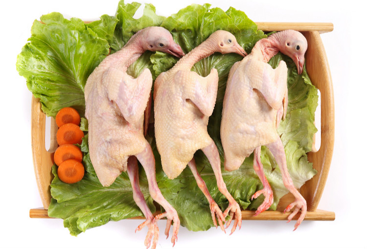 鸽子肉新鲜乳鸽1只装鸽子肉土鸽子农家散养现杀