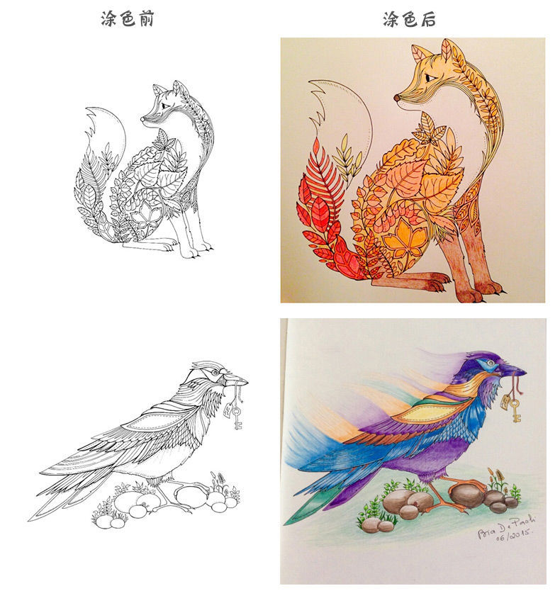 英文版秘密花园涂色书大人减压填色本成人解压涂色绘本涂色画正版特价