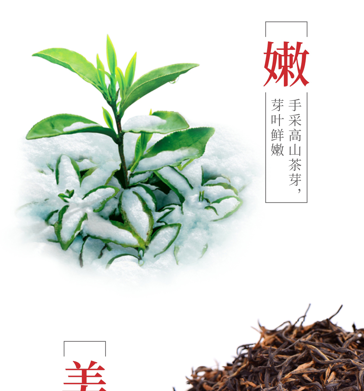 峨眉雪芽工夫红茶250g半斤装浓香型四川高山红茶