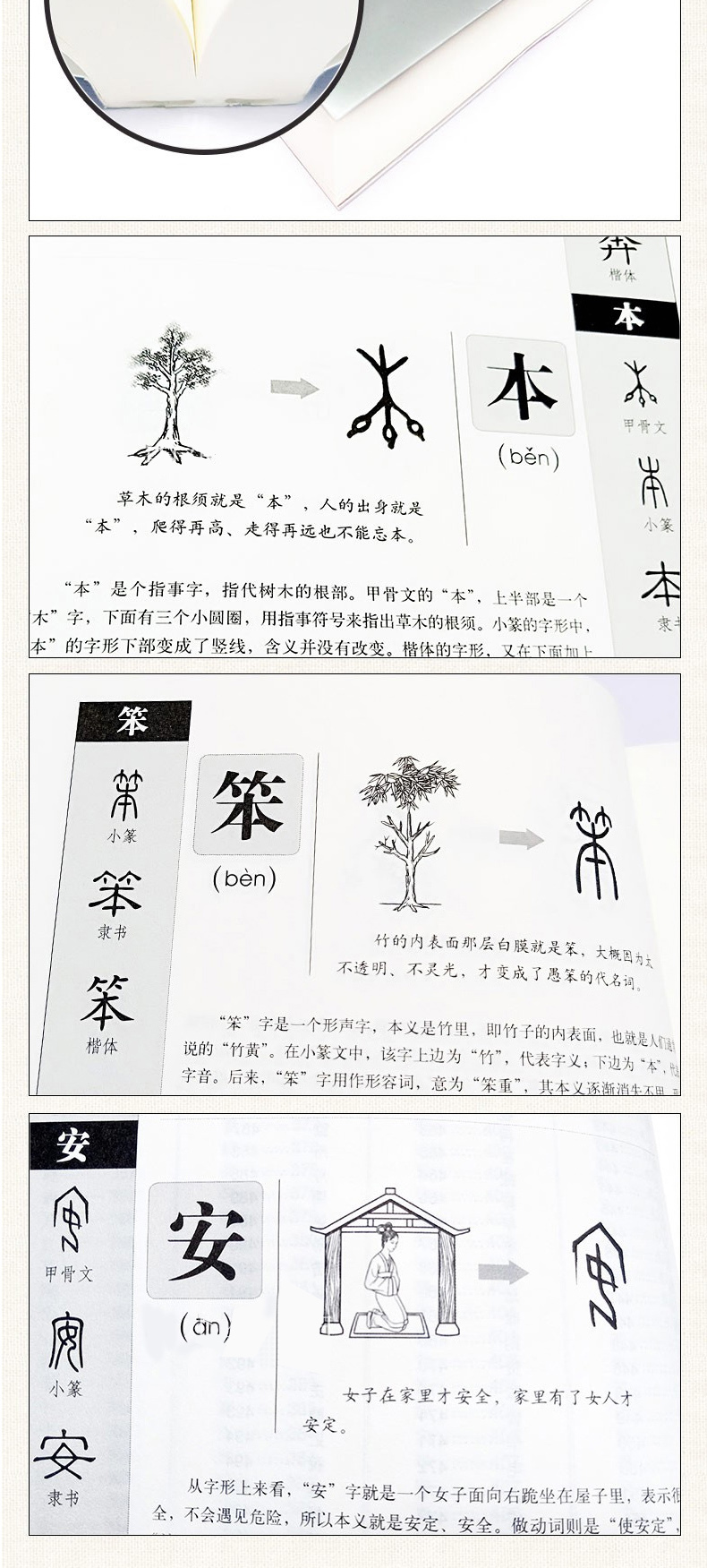 圖解《說文解字》畫說漢字1000個漢字的故事許慎著漢字的演變過程精闢