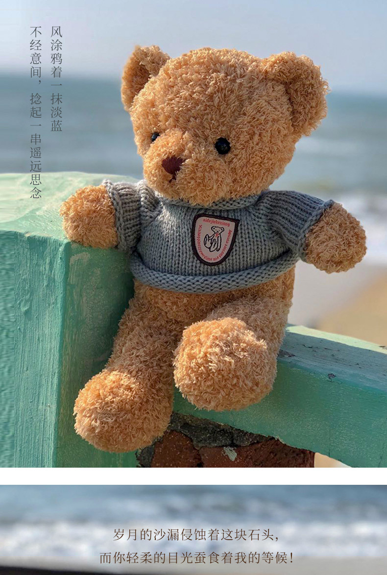 超萌毛衣泰迪熊穿衣小熊玩偶布娃娃可爱毛绒玩具儿童