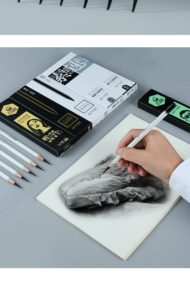 《青竹流光白炭笔速写素描绘画软炭笔初学者成人美术学生专业手绘铅笔