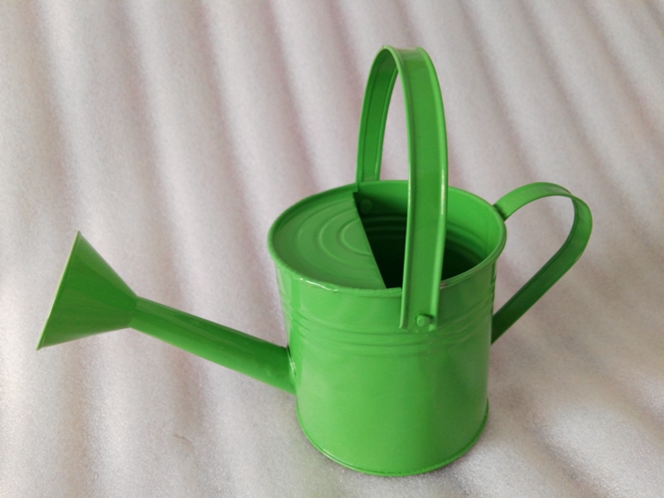 符象园艺用品 彩色铁皮花洒水壶浇水喷花桶拍摄道具园艺工具创意插花