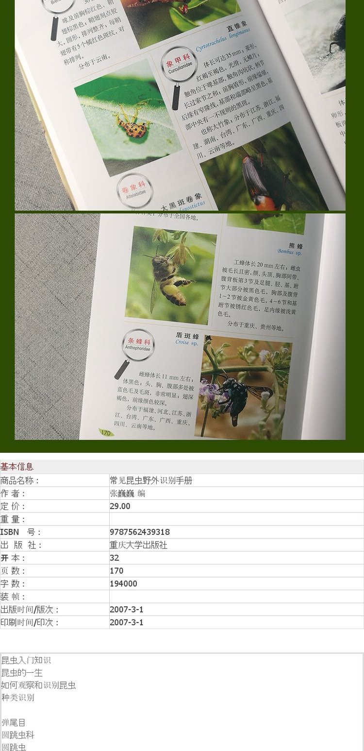 好奇心书系常见昆虫野外识别手册昆虫爱好者和从事林业和检疫相关工作