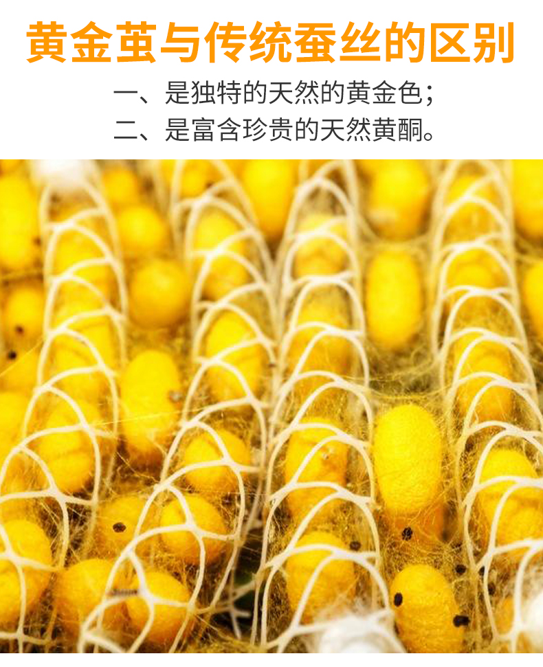 丝煌双宫黄金茧蚕丝被100%桑蚕长丝被手工春秋被保暖冬被子母被芯