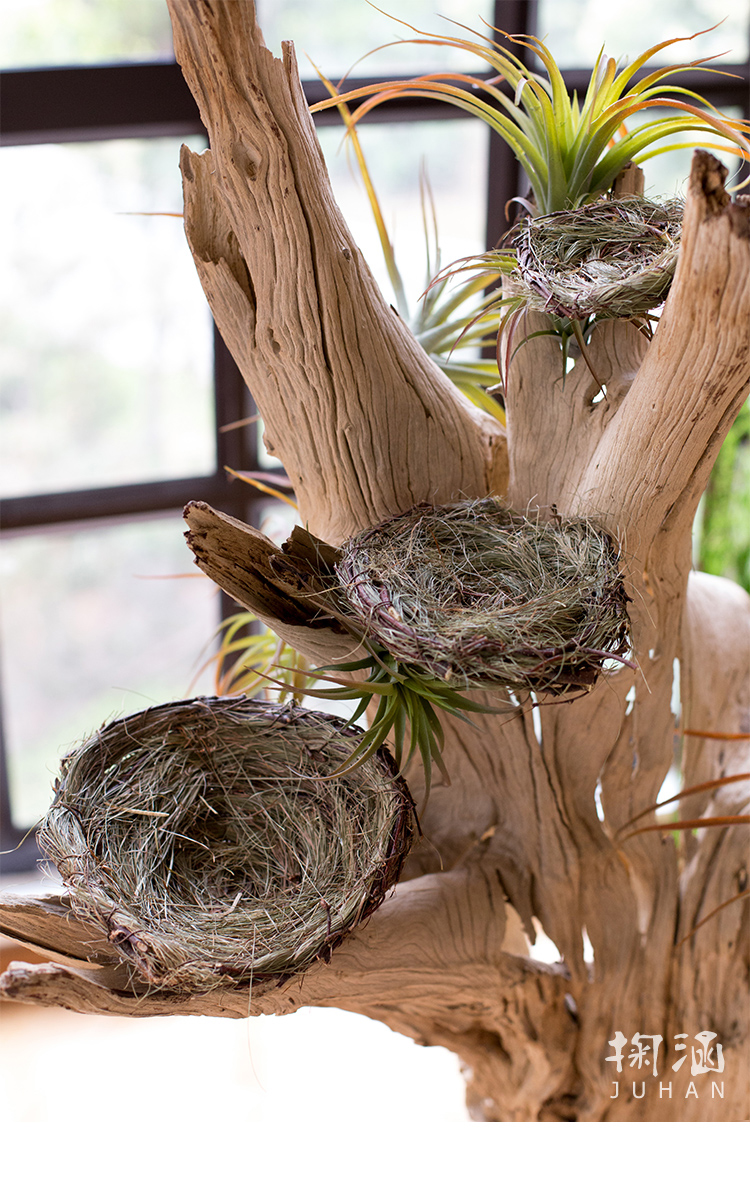 家柏饰corated编鸟窝鸟巢燕窝花器户外园艺花园装饰拍摄道具手工大