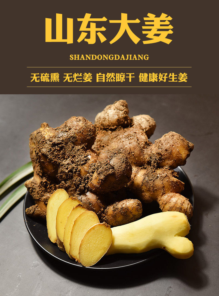 湛航 山东老姜大黄姜现挖发货老姜黄姜生姜月子姜新鲜蔬菜