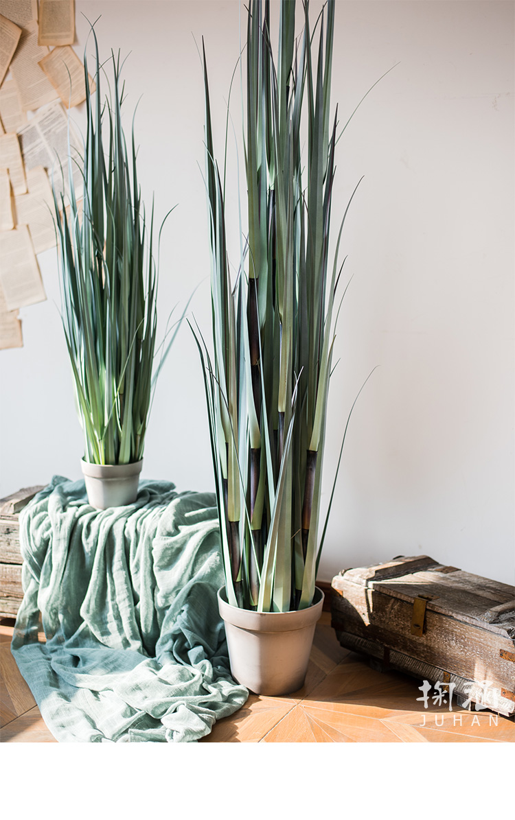 洋葱盆景大型仿真植物绿植仿真树装饰摆件陈列布景道具 f臾金子葱草