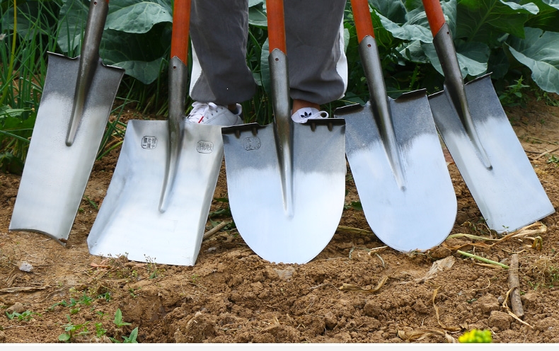 古达农具 古达铁锹农用锰钢加厚铁铲子户外植树工具挖土坑树尖方头木