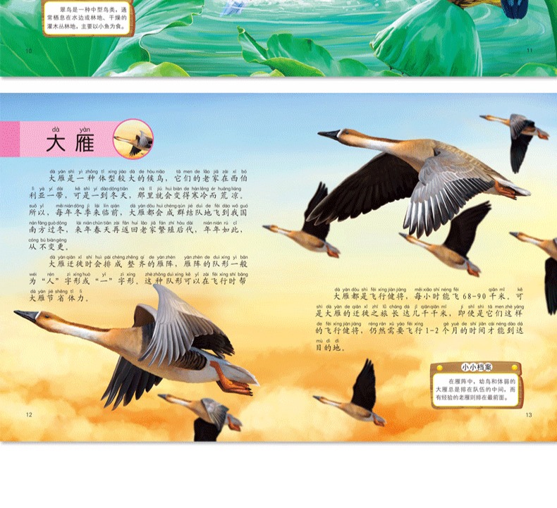 惠典正版科普启蒙书籍幼儿绘本30册海底世界儿童36岁幼