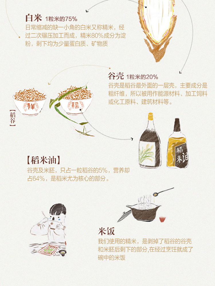 金龙鱼双一万稻米油900mL