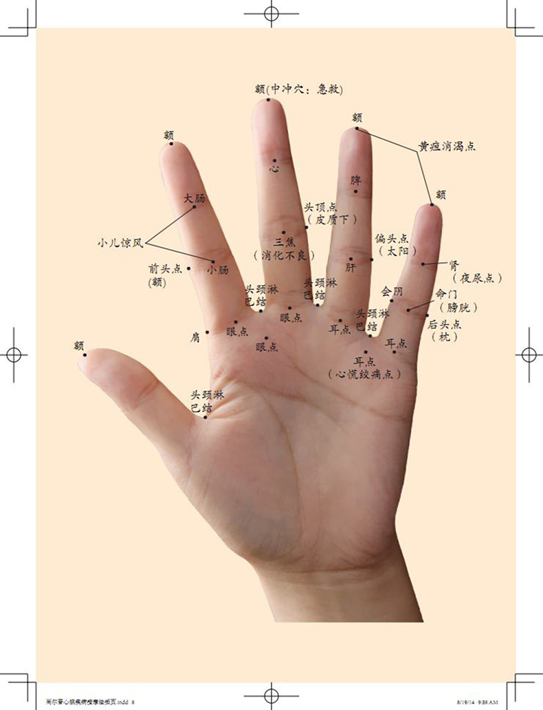 惠典正版火柴棒医生手记系列 周尔晋心脑疾病按摩法