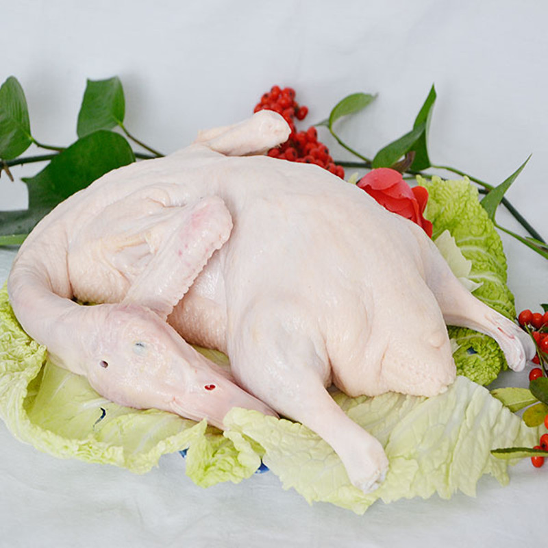 有检疫证附调料冷冻原箱白条鸭8只