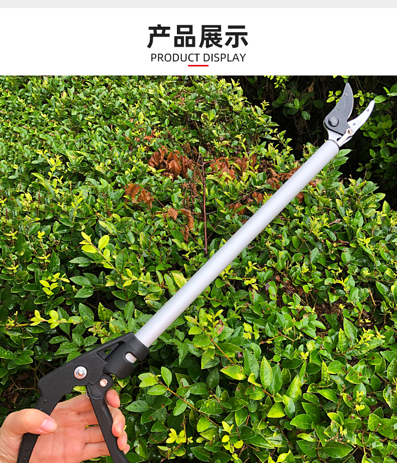 摘果剪刀高枝剪摘果器修树枝采果剪高空摘水果农用家用园艺工具三维