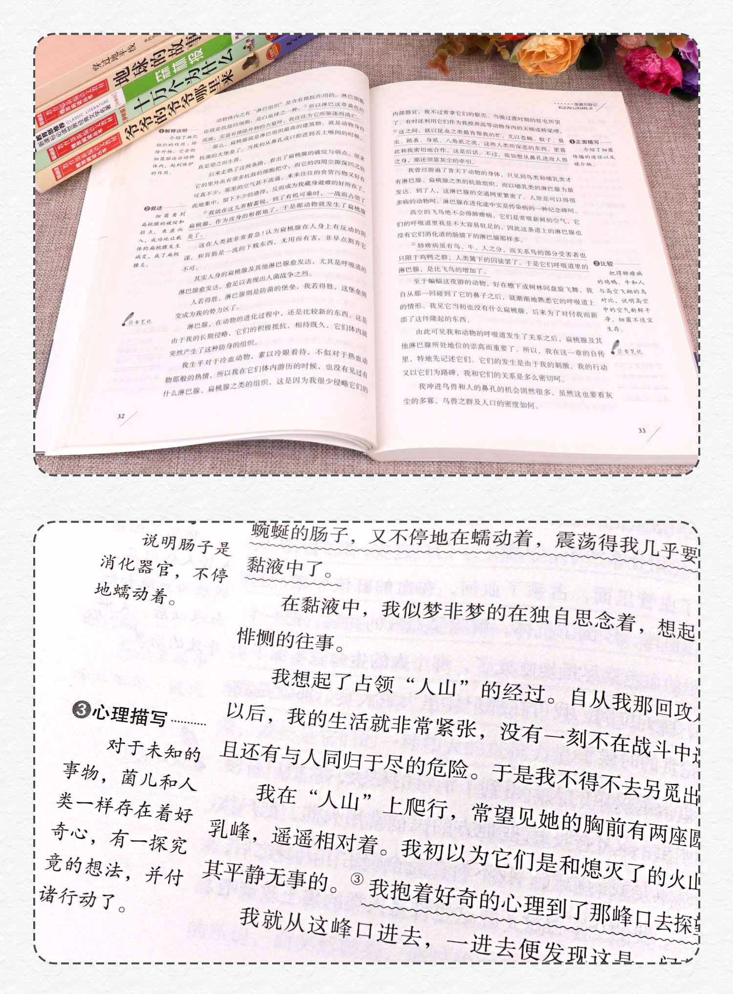 快乐读书吧四年级下必读经典书目6册十万个为什么米伊林穿过地平线