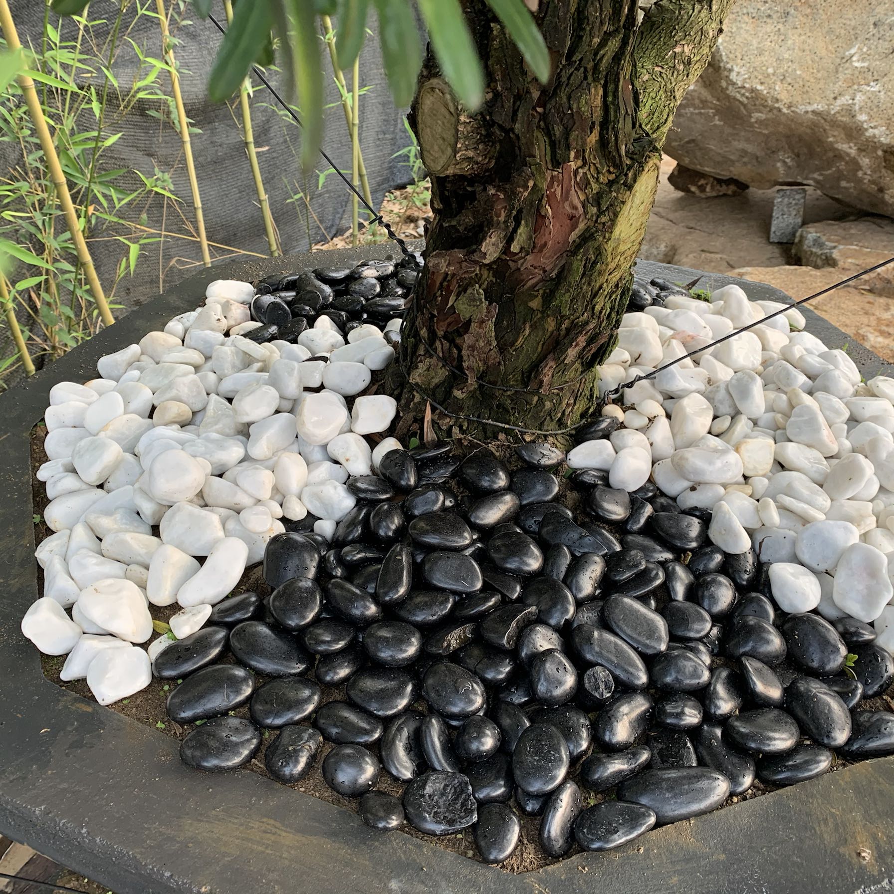 黑色石南宁雨花石鹅卵石花盆栽鱼缸小黑石子园艺铺地装饰园林石头