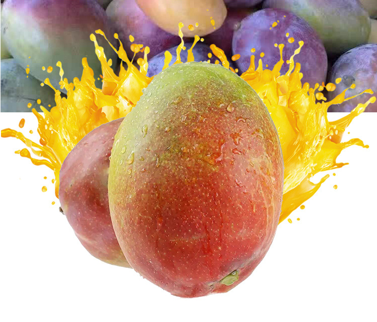 40四川攀枝花彩虹芒芒果3斤单果100200g新鲜水果陈小四水果生鲜特产