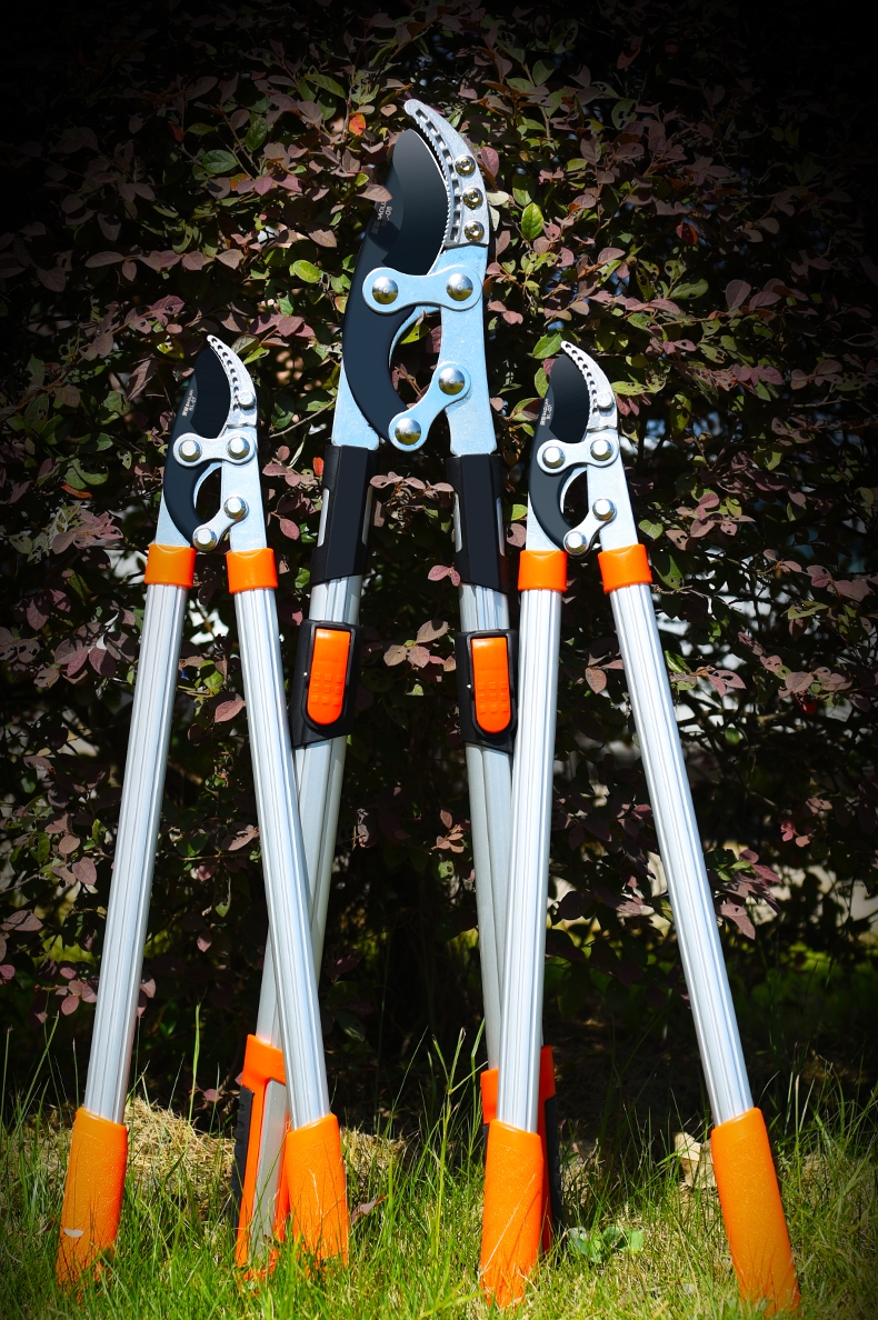 剪枝剪刀果树修枝专用树枝剪园林修剪回固强力修大力粗枝大枝省力