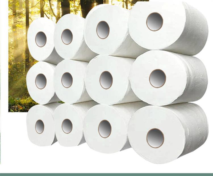 大卷卫生纸家用木浆卷纸有芯卷筒纸卫生纸厕纸纸巾常规大卷10卷大粗卷
