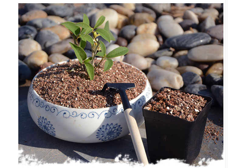 营养土陶粒蛭石种花营养土营养液肥料多肉植物花用垫底铺面回填等园艺