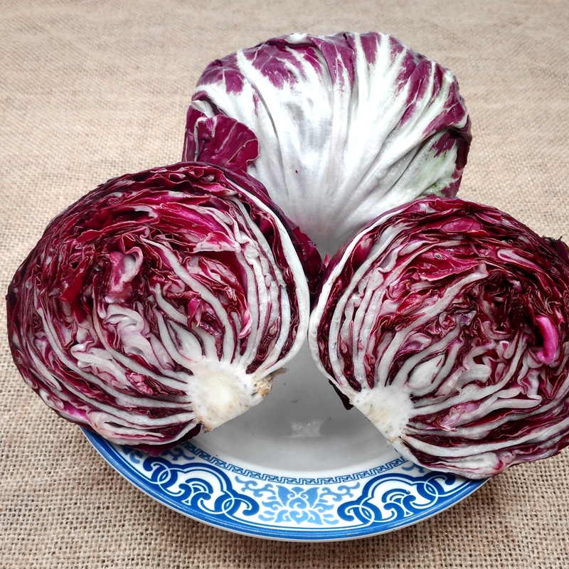 落地球生菜500g红菊苣落地球生菜红叶包菜新鲜蔬菜日天红菜可开发票