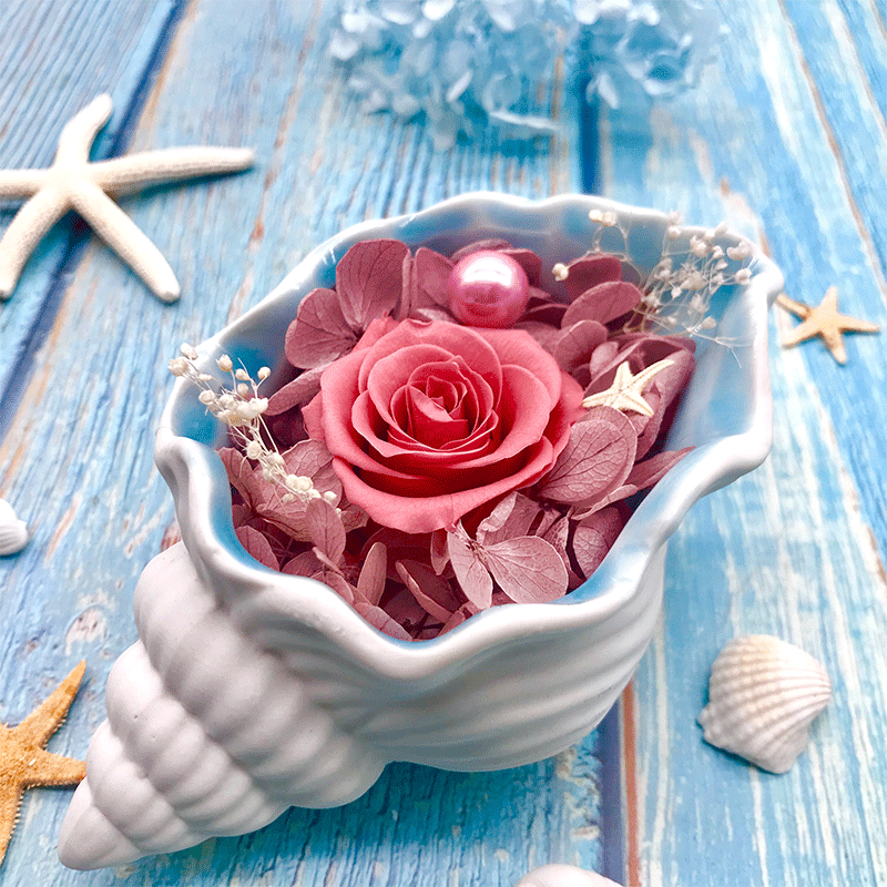 瑞仕兹 圣诞节永生玫瑰花海螺造型摆件男女生闺蜜生日花束婚庆玫瑰花