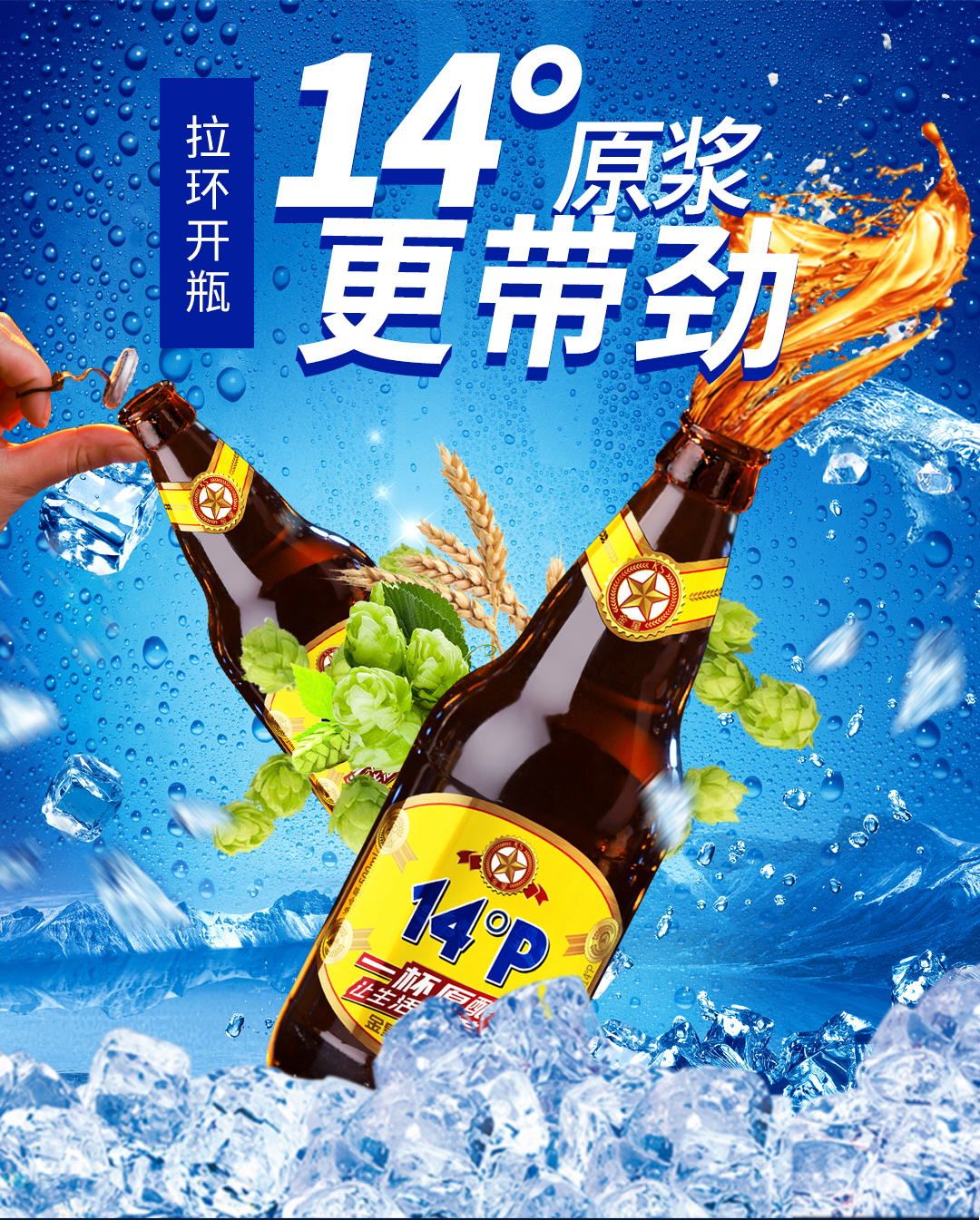 金星啤酒原浆精酿14度高浓度500ml12瓶装整箱官方直营