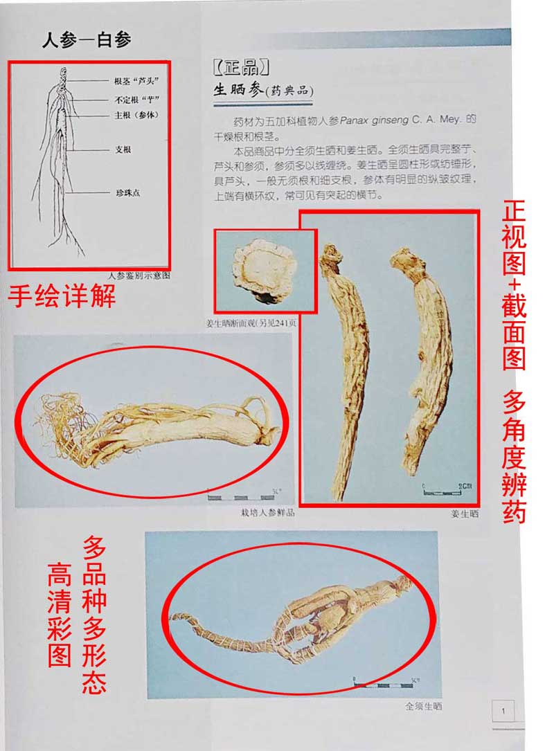 老中医在线预约：就医新体验