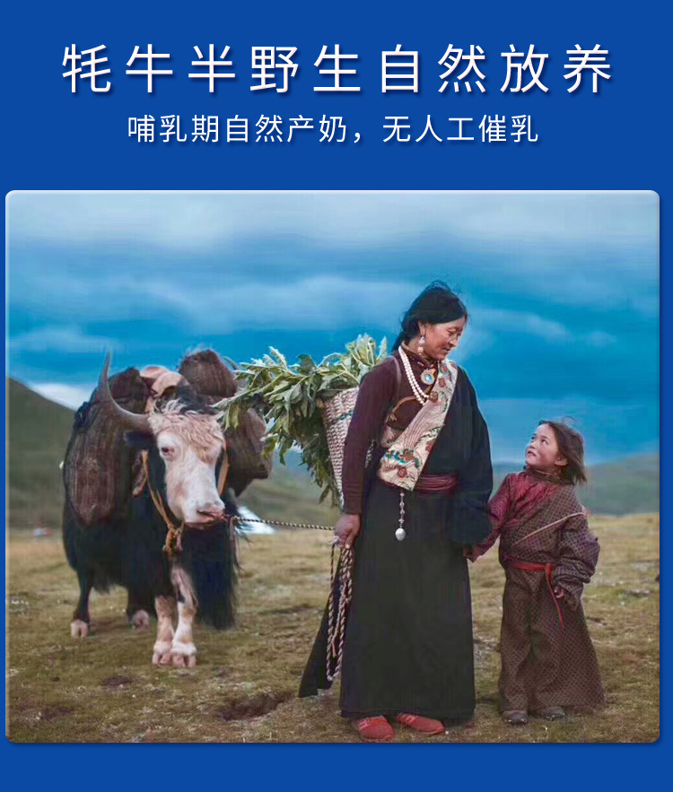 西藏高原之宝有机牦牛奶全脂无添加高营养纯牛奶200ml12盒装早餐奶