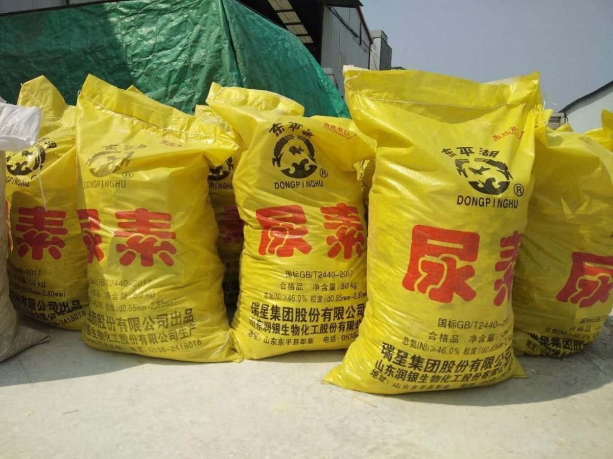 黄色加厚旧尿素10条尿素袋子黄色编织袋蛇皮袋50公斤加厚稻谷袋粮食袋