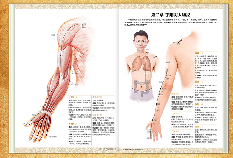 吳中朝人體穴位身體按摩圖解穴位書籍 家庭保健人體經絡穴位使用全書