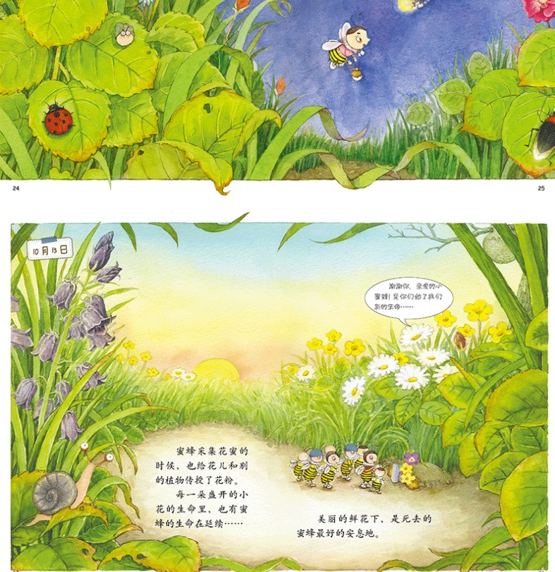 惠典正版我的日记系列蜜蜂的日记精装幼儿童绘本故事书