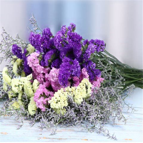 紫 粉 黄 情人草 40cm10支 [买1送1】云南勿忘我干花花束真花鲜花客厅