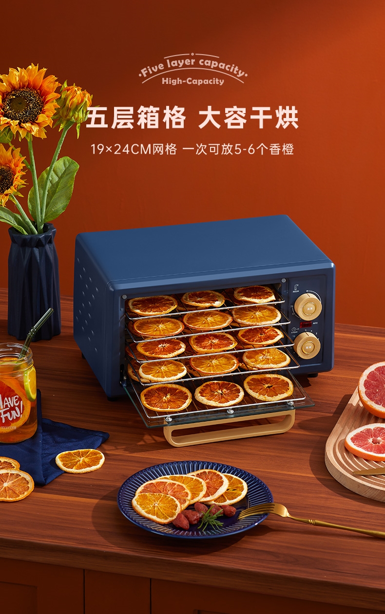 金正(nintaus)干果机 r3 金正(nintaus)干果机烘干机食品家用小型食物