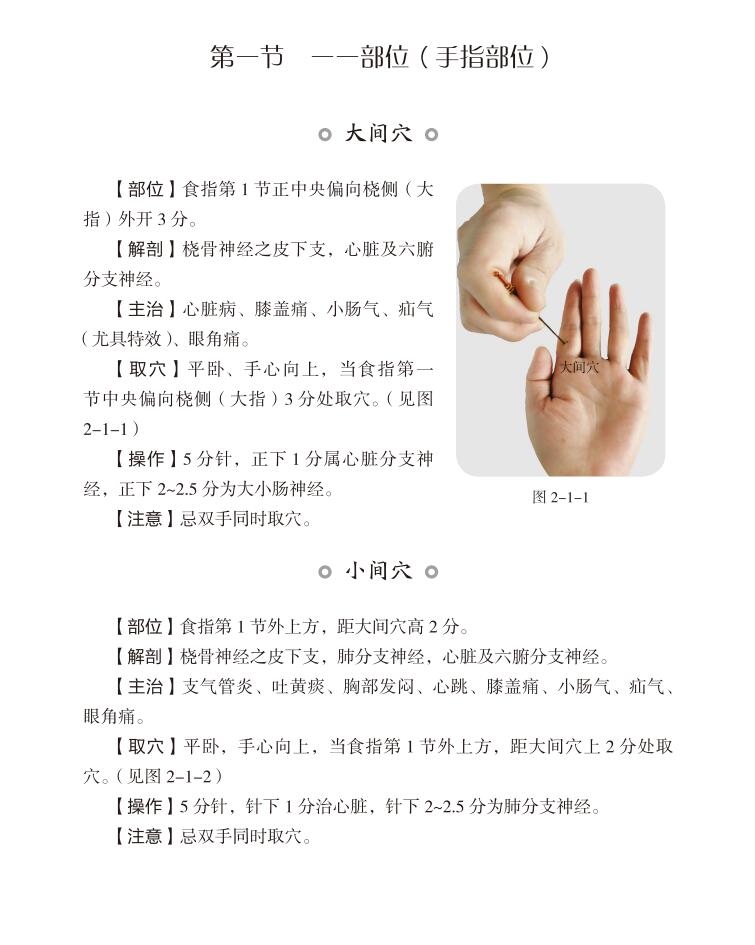 惠典正版2本董氏奇穴针灸学董氏针灸注疏赠视频挂图董