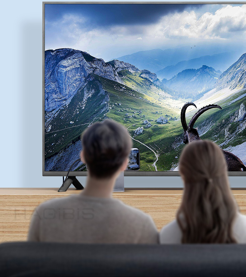 海备思苹果转hdmi投屏线lightning转hdmi手机电视连接线同屏转换器 六