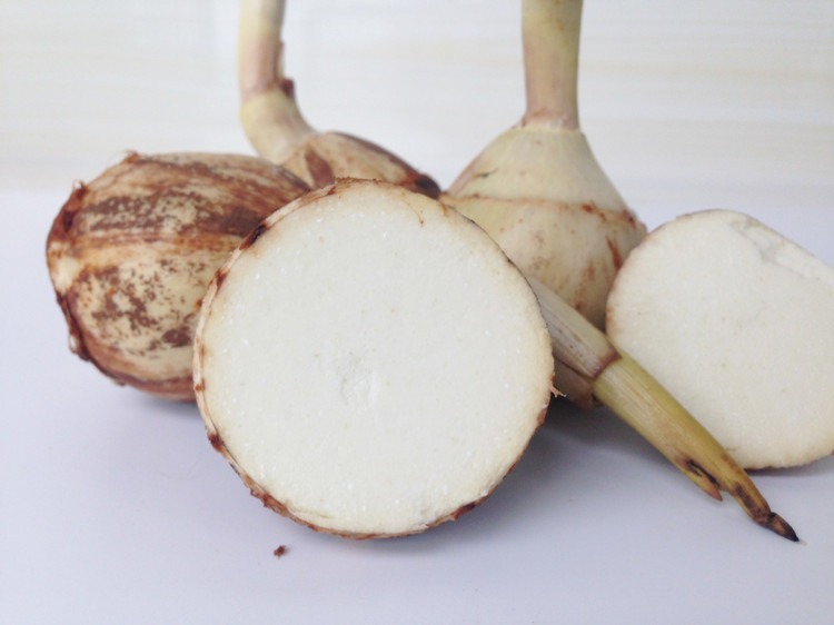 新鲜蔬菜白茨菇茨菇芽慈菇现挖马蹄可开发票25kg