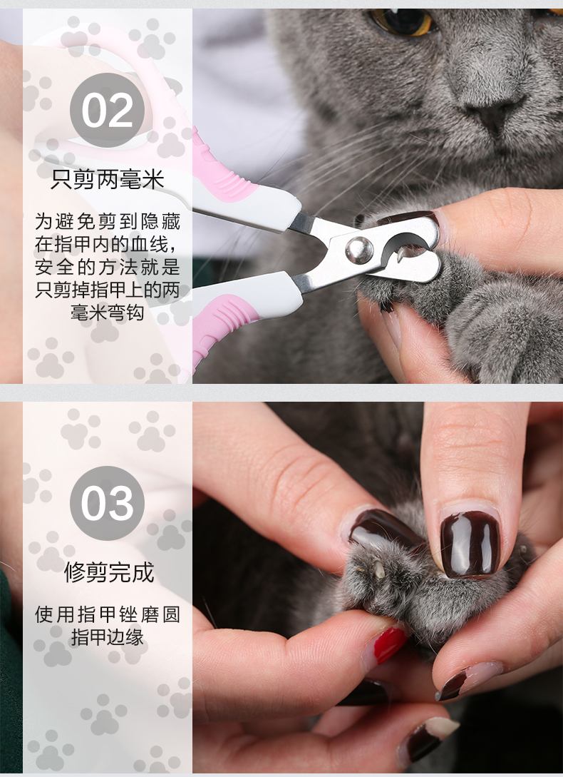 猫指甲剪怎么用图解图片