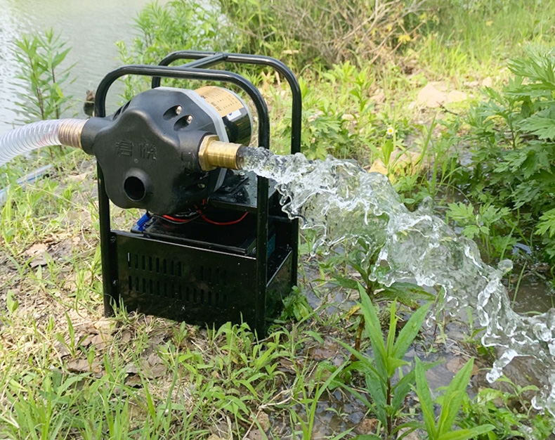 古達泵充電澆菜水泵便攜大流量農用灌溉抗旱戶外澆水機自吸抽井水泵