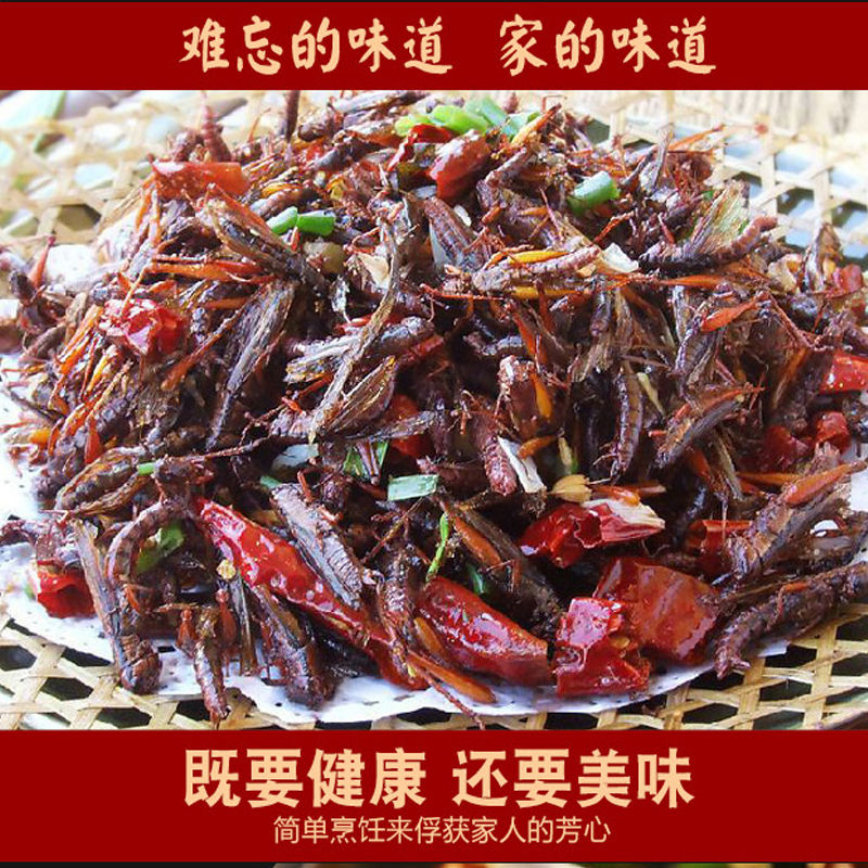 东亚飞蝗半斤蚂蚱稻蝗野生小蚂蚱油蚂蚱中华稻蝗蝗虫活体冷冻东亚飞蝗