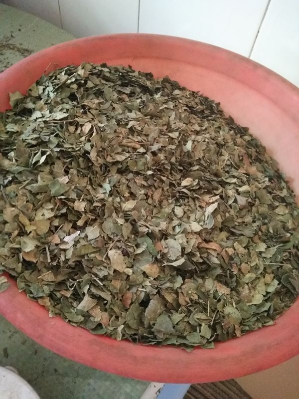 山西农家18年花椒叶粉椒叶无杂质新鲜干叶子调料250g