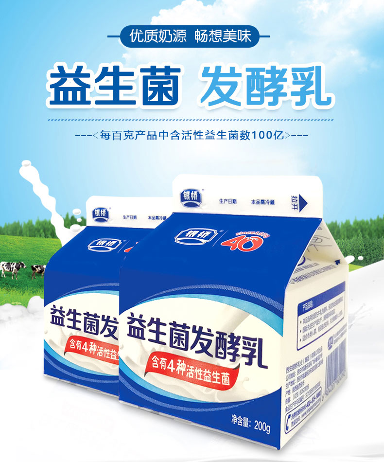 银桥益生菌发酵乳酸奶陕西小屋酸牛乳200g12盒